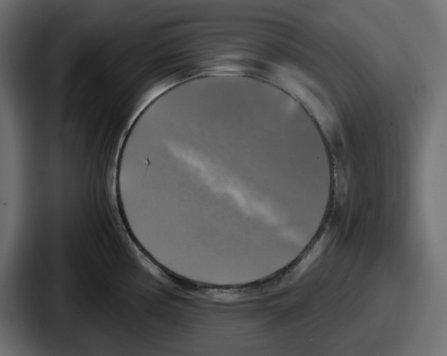 X0000086761194200705111709