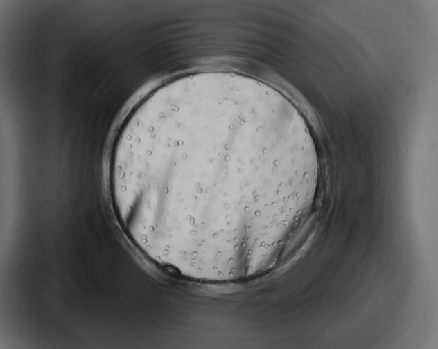 X0000086761196200705111709