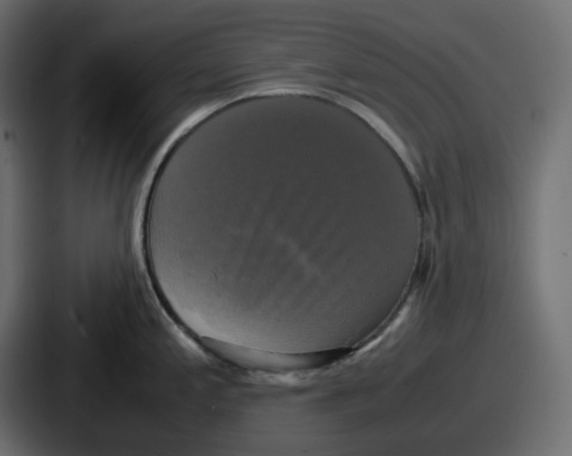 X0000086761197200705111709