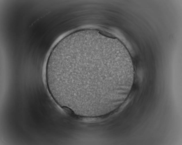 X0000086761199200705111709