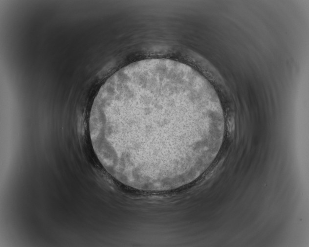 X0000086761204200705111708