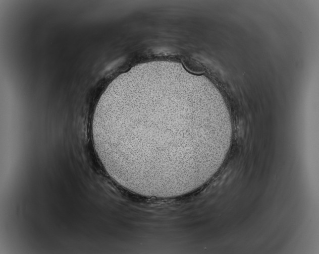 X0000086761205200705111708