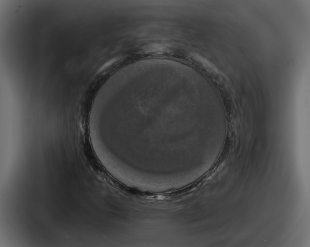 X0000086761206200705111708