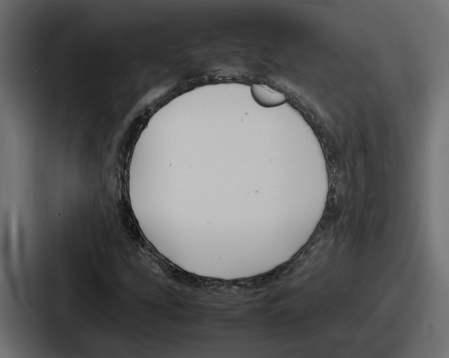 X0000086761207200705111708