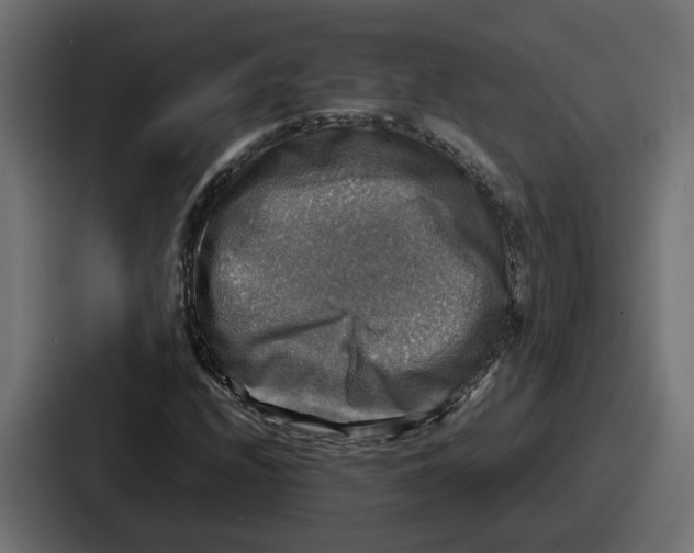 X0000086761208200705111708