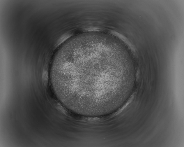 X0000086761209200705111708