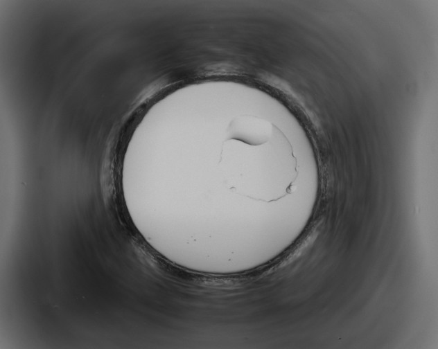 X0000086761211200705111708