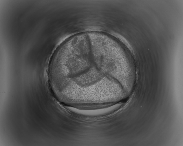 X0000086761212200705111708