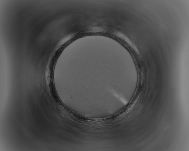 X0000086761213200705111708