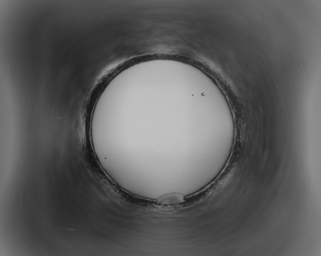 X0000086761214200705111708