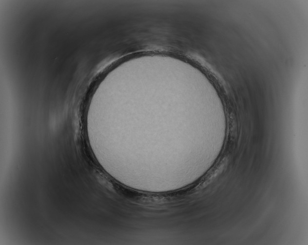 X0000086761215200705111708