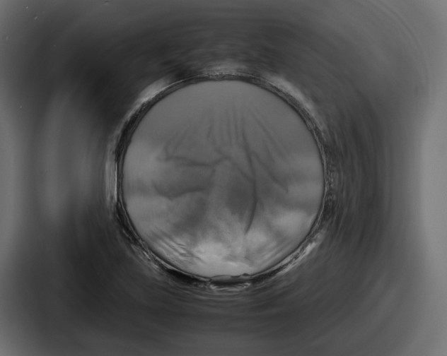 X0000086761219200705111708