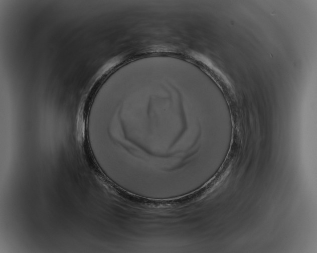 X0000086761221200705111708