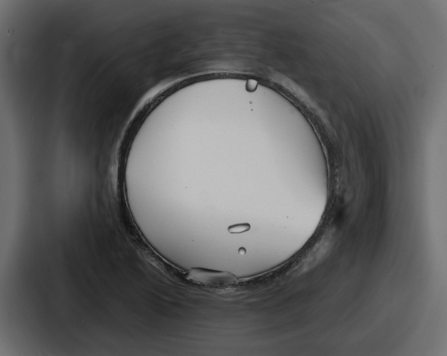 X0000086761222200705111708