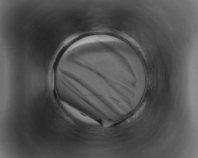 X0000086761223200705111708