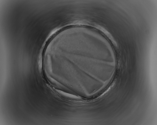 X0000086761224200705111708