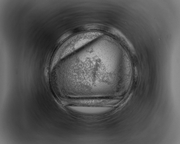 X0000086761225200705111708