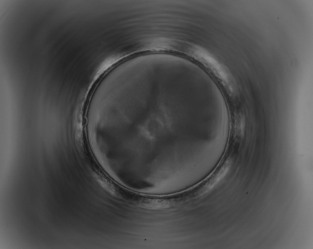 X0000086761226200705111708