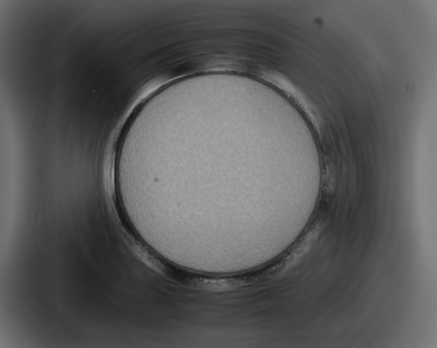 X0000086761227200705111708