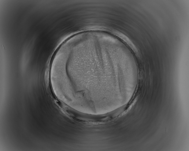 X0000086761228200705111708