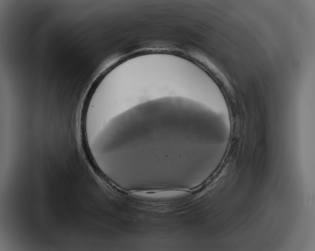 X0000086761229200705111708