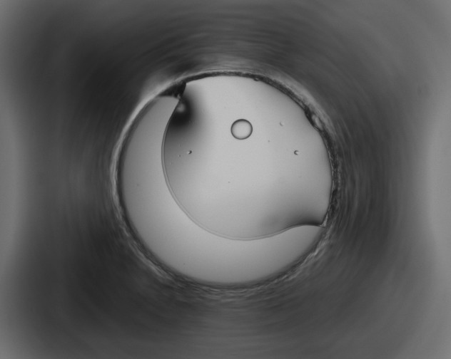 X0000086761230200705111708