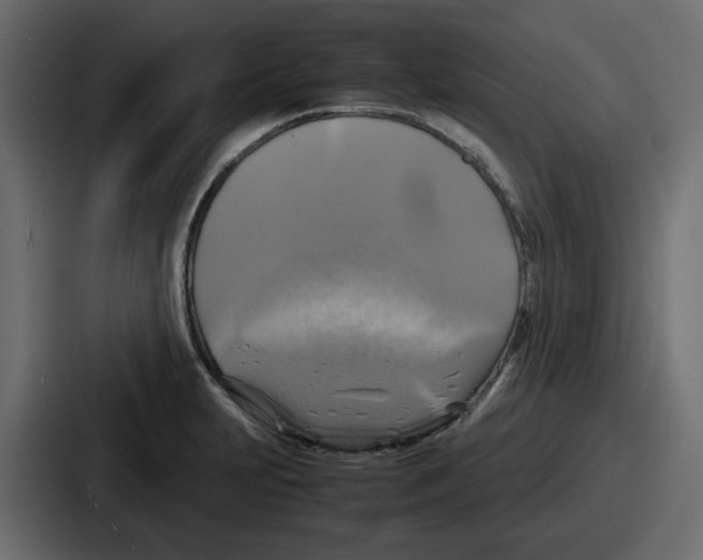 X0000086761231200705111708