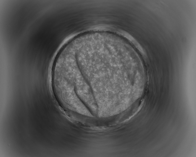 X0000086761232200705111708