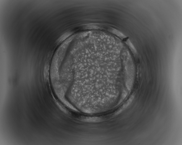 X0000086761233200705111708