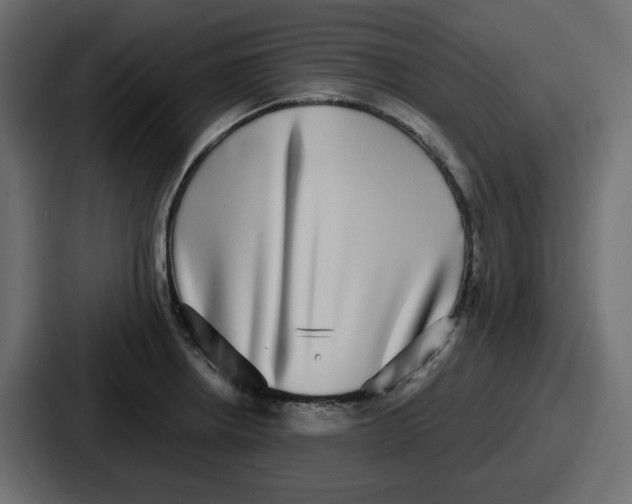 X0000086761234200705111708