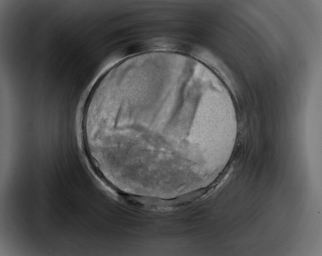 X0000086761235200705111708