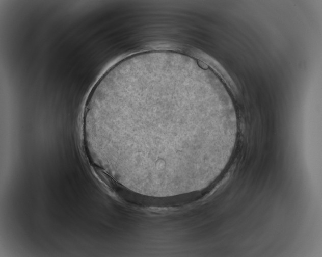 X0000086761236200705111708