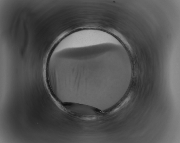 X0000086761237200705111708