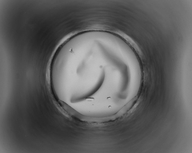 X0000086761238200705111708