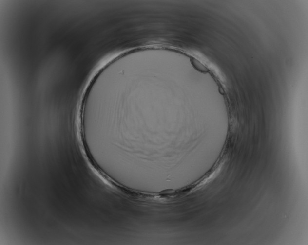 X0000086761239200705111708