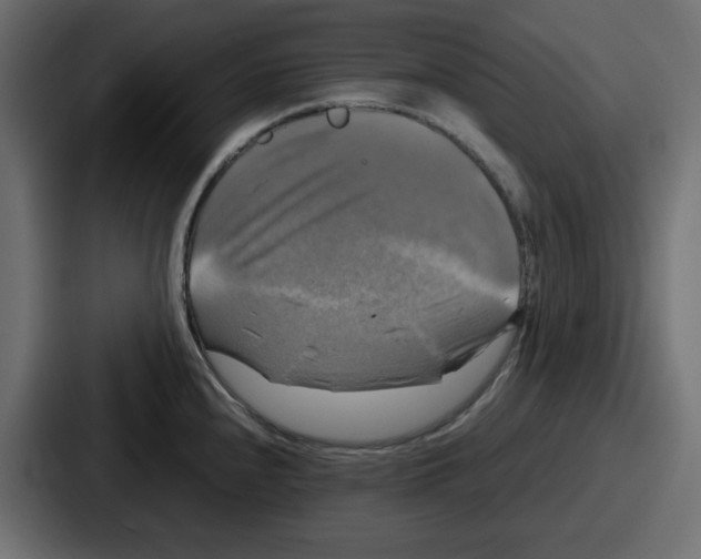 X0000086761240200705111708