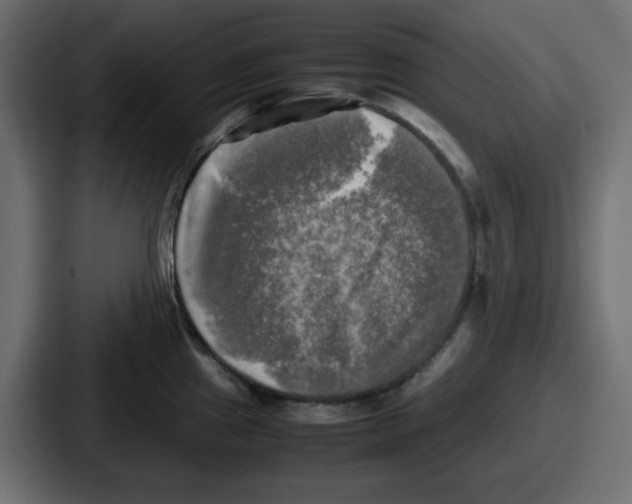 X0000086761241200705111708