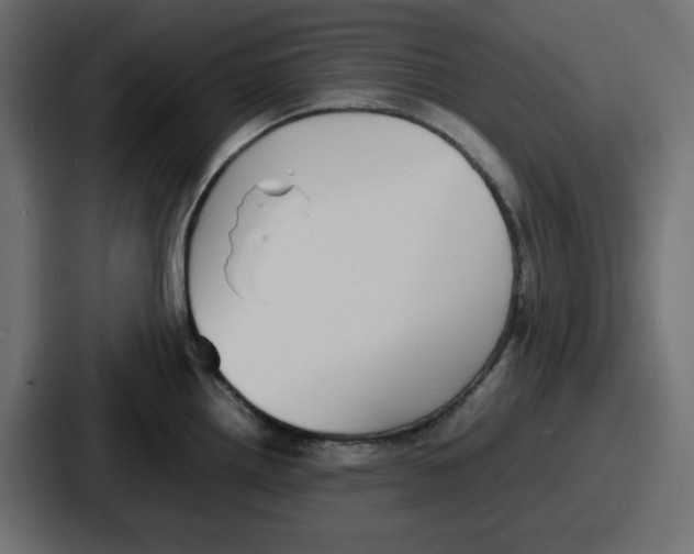 X0000086761242200705111709