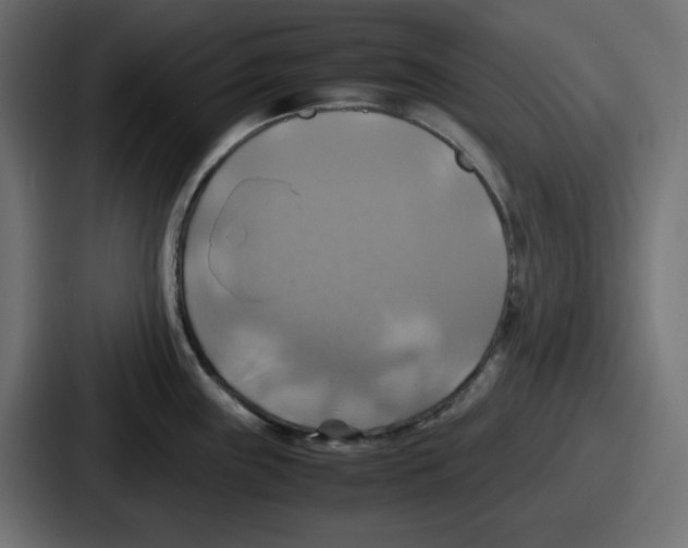 X0000086761243200705111709