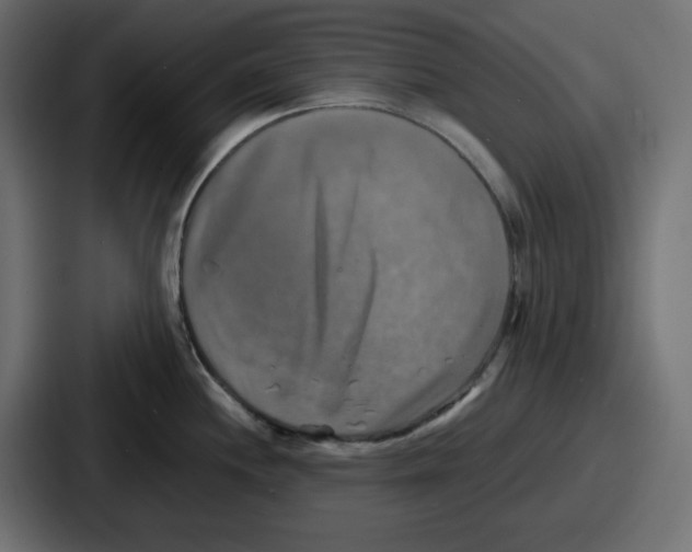 X0000086761244200705111709