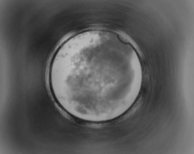 X0000086761245200705111709