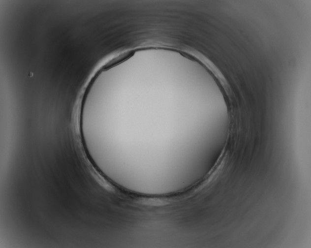 X0000086761246200705111709