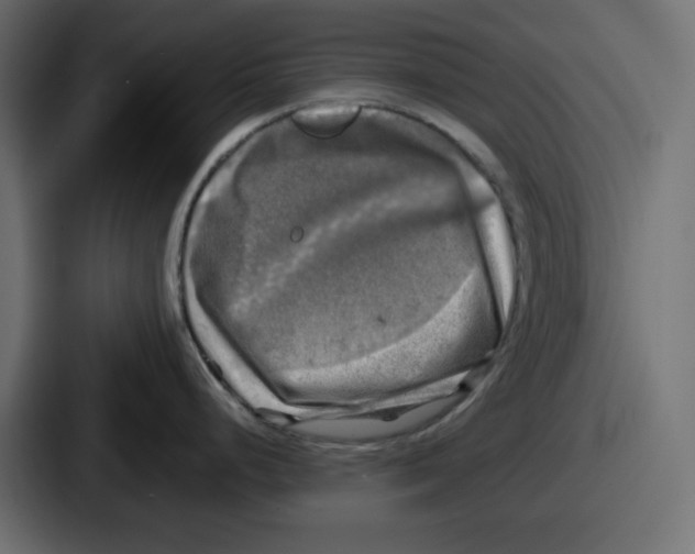 X0000086761248200705111709