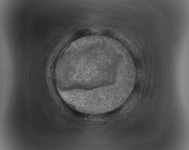 X0000086761249200705111708