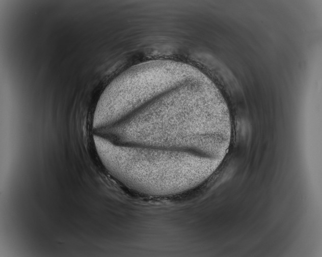 X0000086761250200705111708