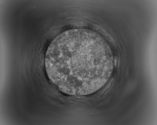 X0000086761251200705111708