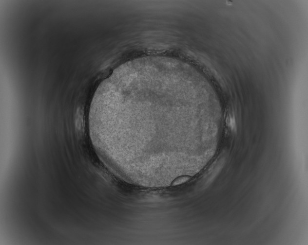 X0000086761252200705111708