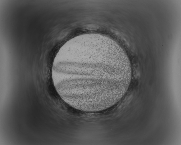 X0000086761253200705111708