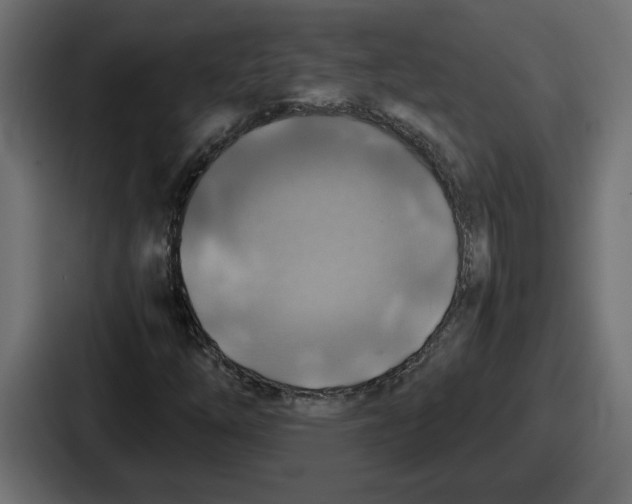 X0000086761254200705111708