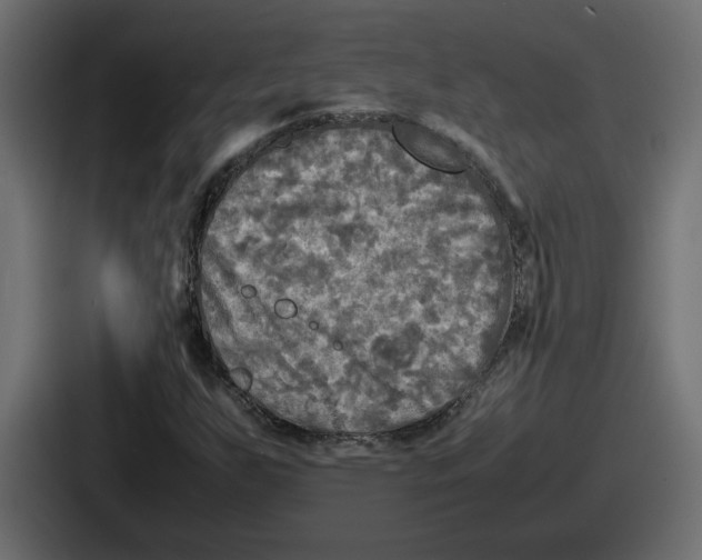 X0000086761255200705111708